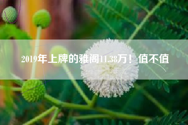 2019年上牌的雅阁11.38万！值不值
