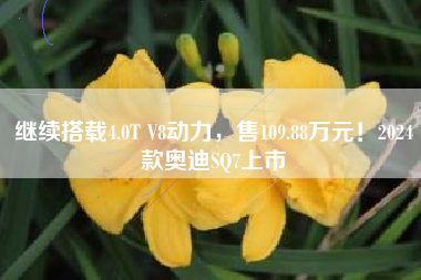 继续搭载4.0T V8动力，售109.88万元！2024款奥迪SQ7上市