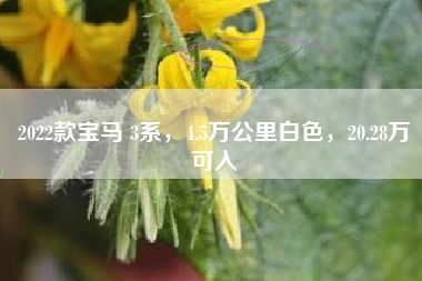 2022款宝马 3系，4.5万公里白色，20.28万可入