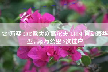 5.58万买 2015款大众高尔夫 1.4TSI 自动豪华型，18万公里 2次过户