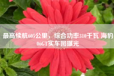 最高续航605公里，综合功率310千瓦 海豹06GT实车图曝光