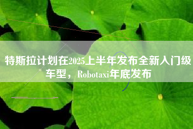 特斯拉计划在2025上半年发布全新入门级车型，Robotaxi年底发布