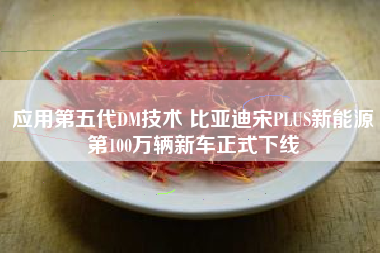 应用第五代DM技术 比亚迪宋PLUS新能源第100万辆新车正式下线