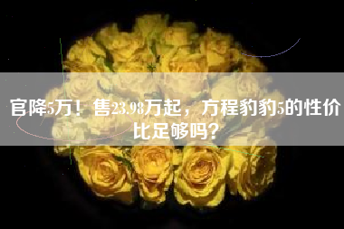 官降5万！售23.98万起，方程豹豹5的性价比足够吗？