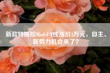 新款特斯拉Model Y或涨价3万元，自主、新势力机会来了？