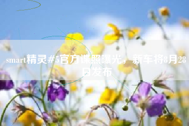 smart精灵#5官方谍照曝光，新车将8月28日发布