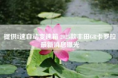 提供8速自动变速箱 2025款丰田GR卡罗拉最新消息曝光