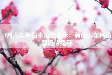 11月汽车保值率报告显示：新能源车保值率仍待提升