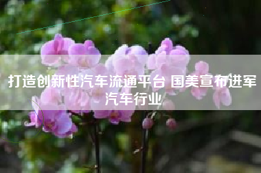 打造创新性汽车流通平台 国美宣布进军汽车行业