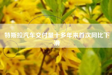 特斯拉汽车交付量十多年来首次同比下滑