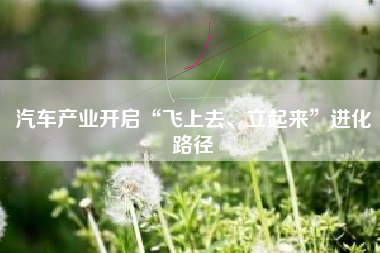汽车产业开启“飞上去、立起来”进化路径