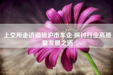 上交所走访调研沪市车企 探讨行业高质量发展之道