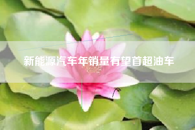 新能源汽车年销量有望首超油车