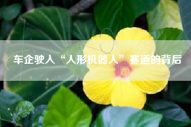车企驶入“人形机器人”赛道的背后
