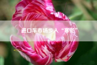 进口车市场步入“寒冬”