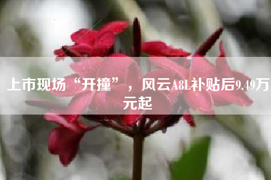 上市现场“开撞”，风云A8L补贴后9.49万元起