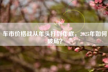 车市价格战从年头打到年底，2025年如何破局？