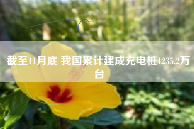 截至11月底 我国累计建成充电桩1235.2万台