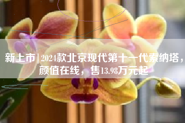 新上市|2024款北京现代第十一代索纳塔，颜值在线，售13.98万元起