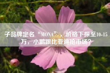 子品牌定名“MONA”，价格下探至10-15万，小鹏跟比亚迪抢市场？