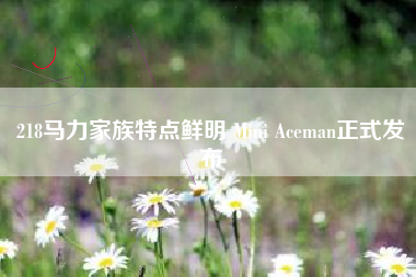 218马力家族特点鲜明 Mini Aceman正式发布