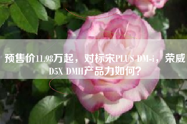 预售价11.98万起，对标宋PLUS DM-i，荣威D5X DMH产品力如何？
